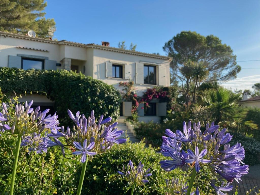 Enjoy Mougins Villa, Mougins