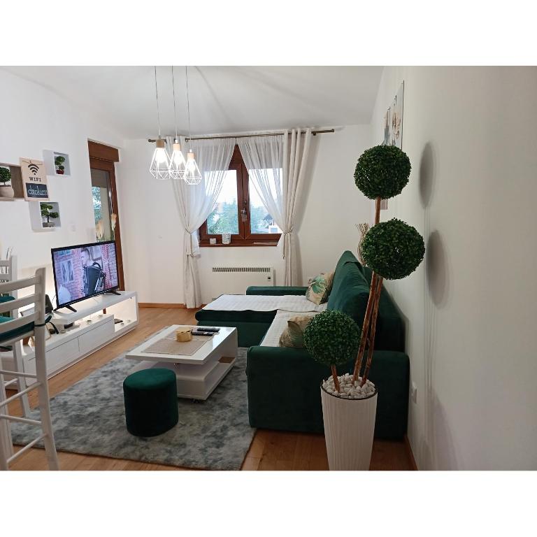 Golden clover 33, Zlatibor