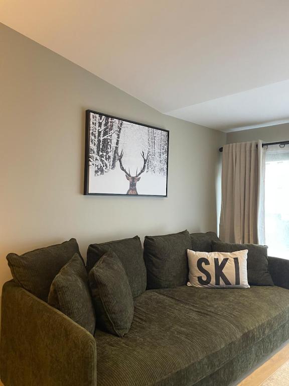 GRAND COSY 10-12 pers Ax Thermes Centre Terrasse Parking - 1