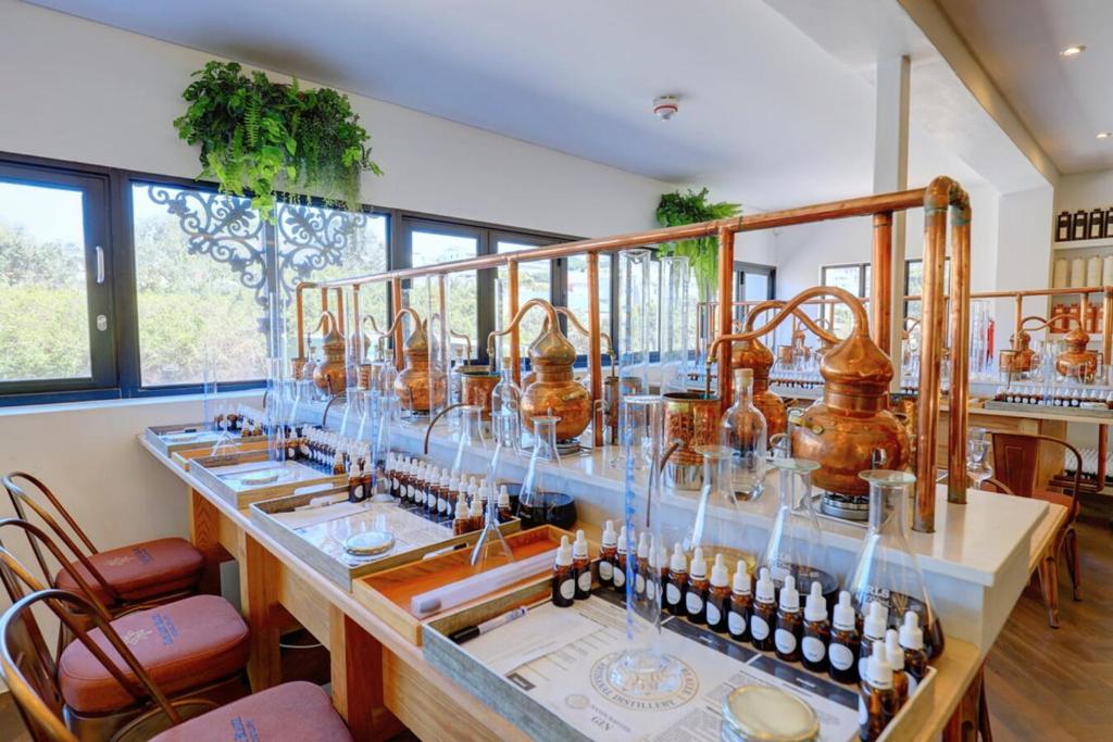 アクティビティ