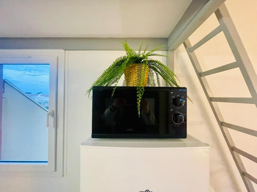 4 Soleil - Mezzanine Wifi Clim Plage Parking - 5