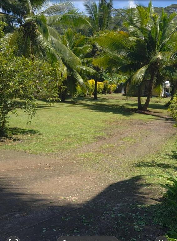 Hello green, Mahaena