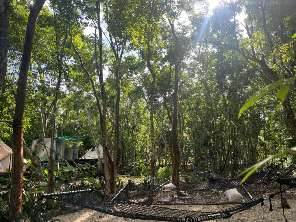Cozumel Glamping - 3