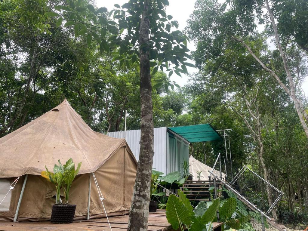 Cozumel Glamping - 4