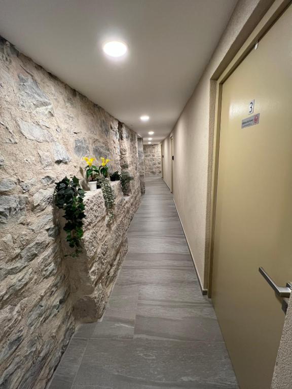 Appartement les orangers MENTON - 5