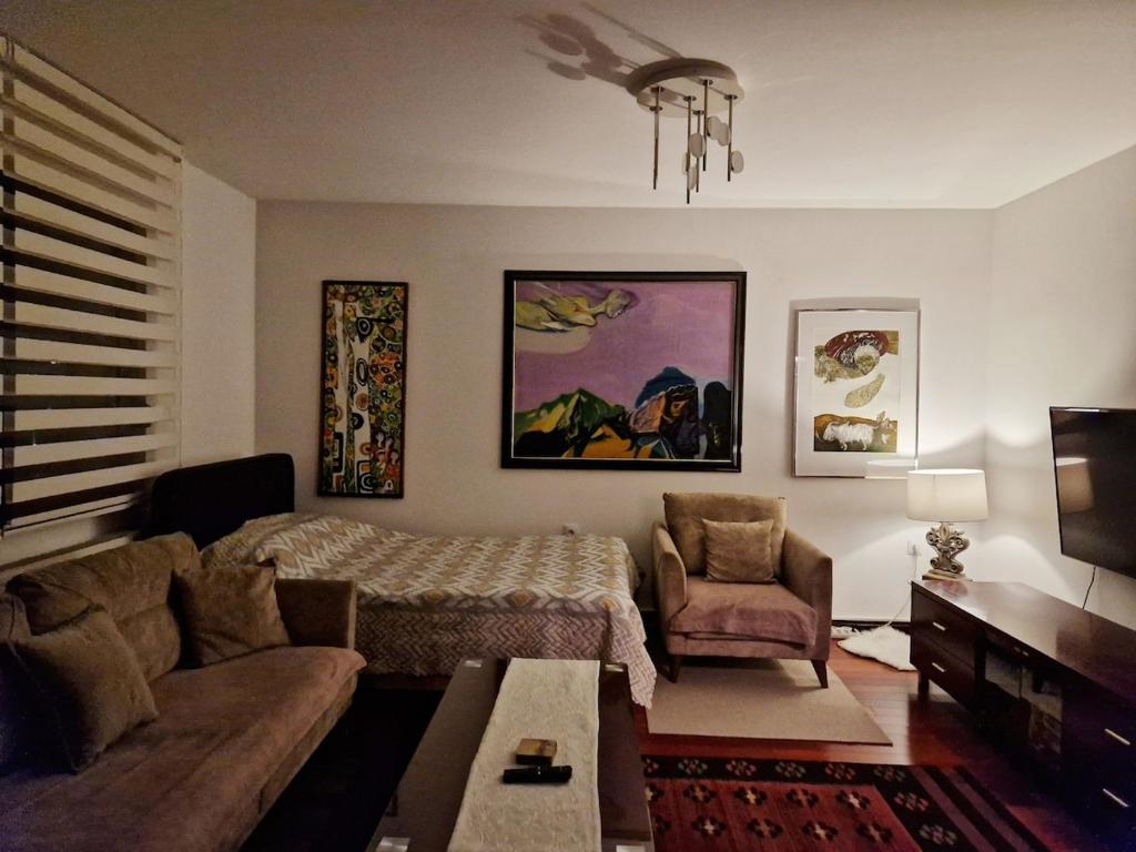 Luxorious apartment in the city, Priština