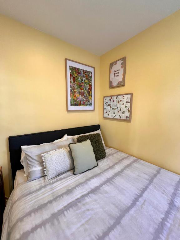 Park Studio at Mohua, Christchurch