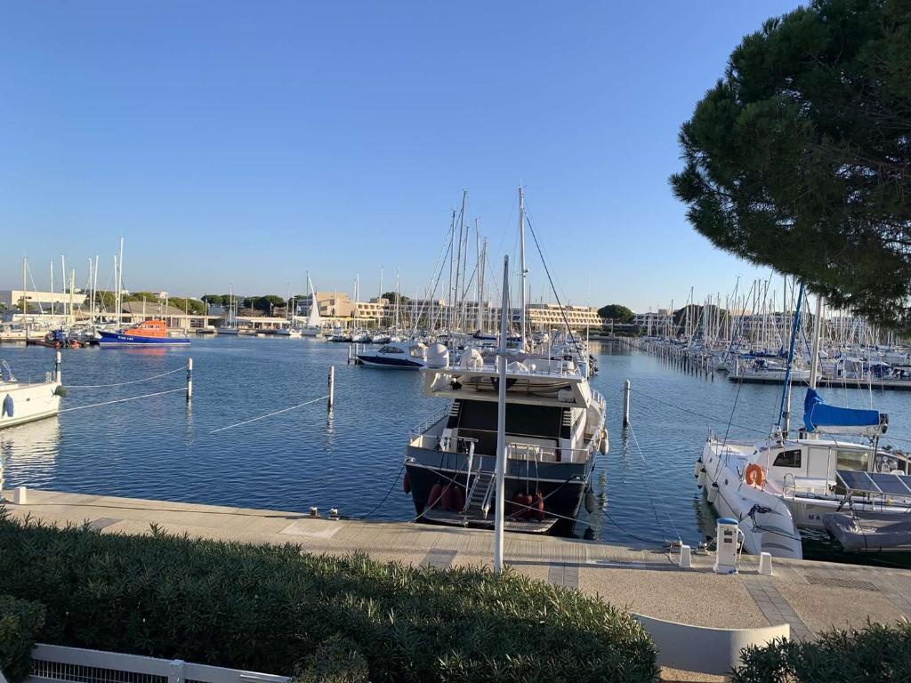 Appartement 2 Pièces avec Terrasse et Parking à 50m Plage - Port Camargue - FR-1-731-136 - 1