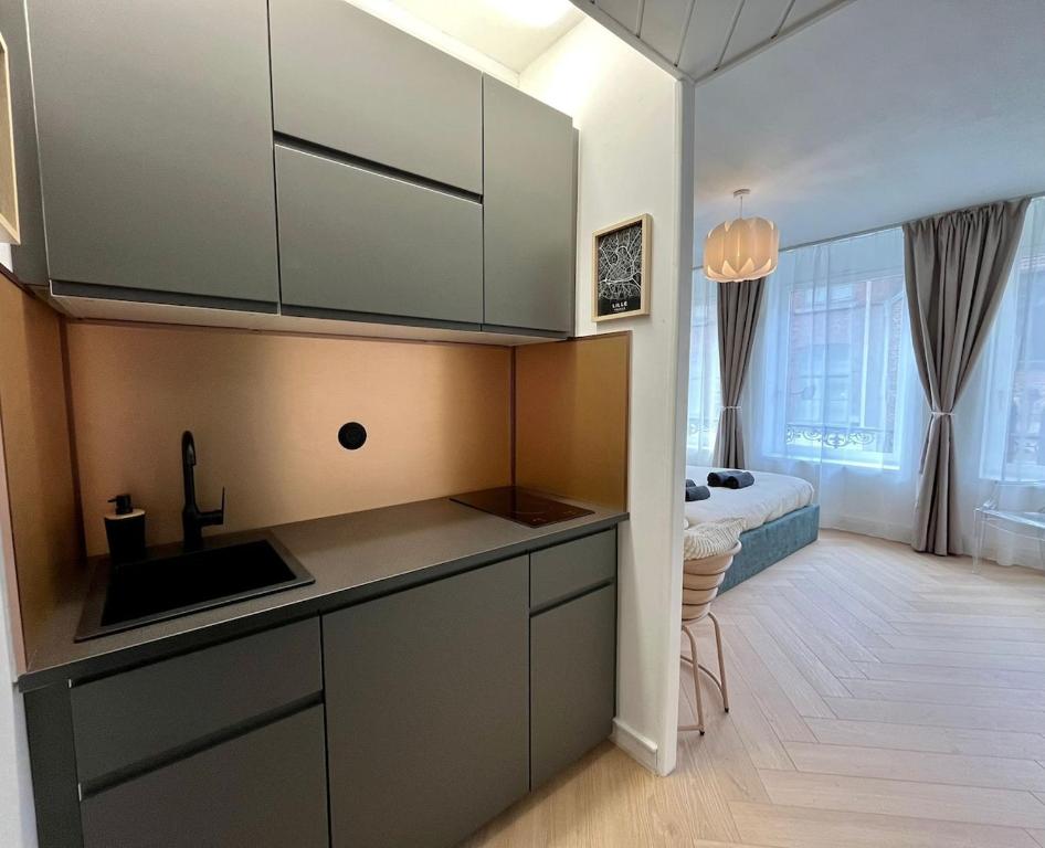 Premium Studio 300 m Grand-Place - hyper center Lille - 3