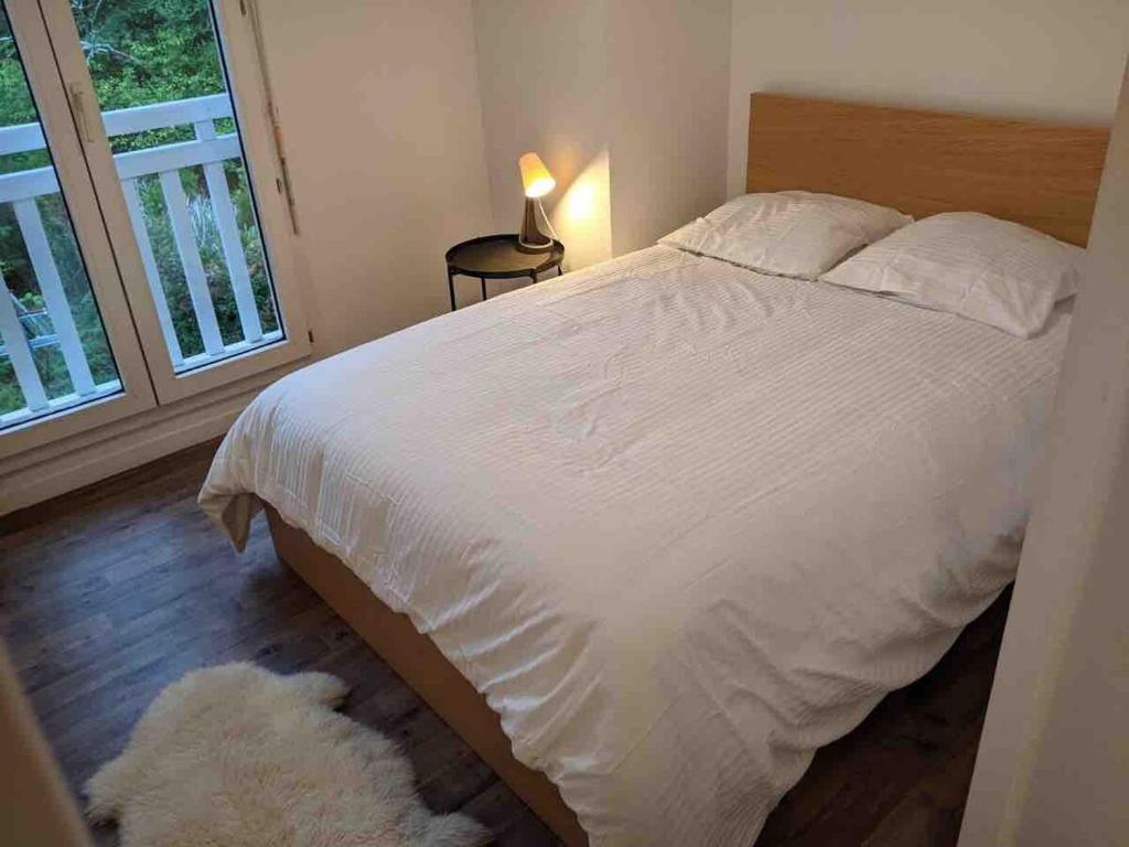 Capbreton 2 bedroom apartment between forest and beach - 2