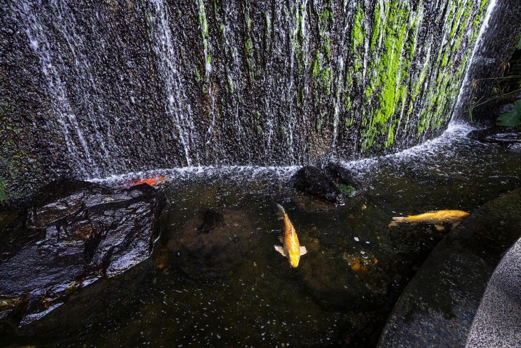 Surrounding environment