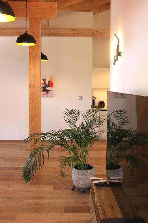 Panorama Suite - 3