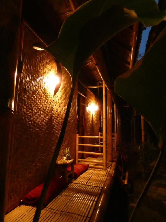 Uncle Hippie’s Dream