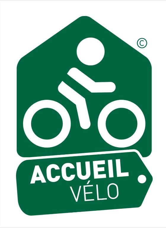 アクティビティ