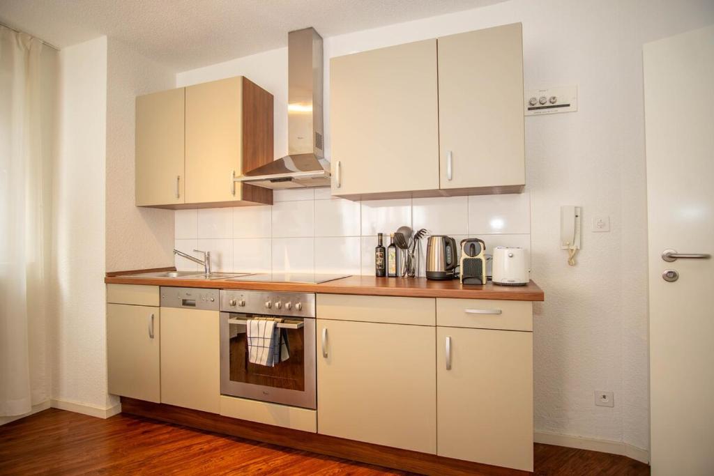 Central Studio Apartment with free BaselCard - Matisse, Basilej