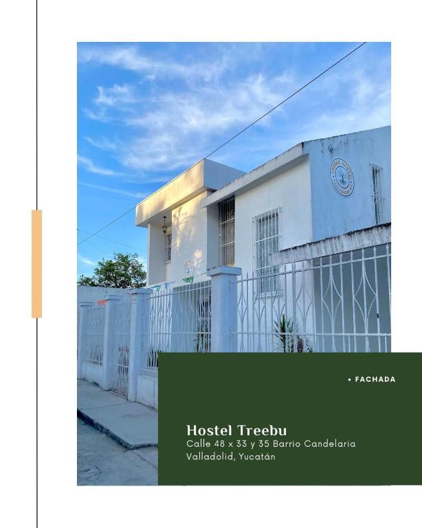 Hostel Treebu - 3
