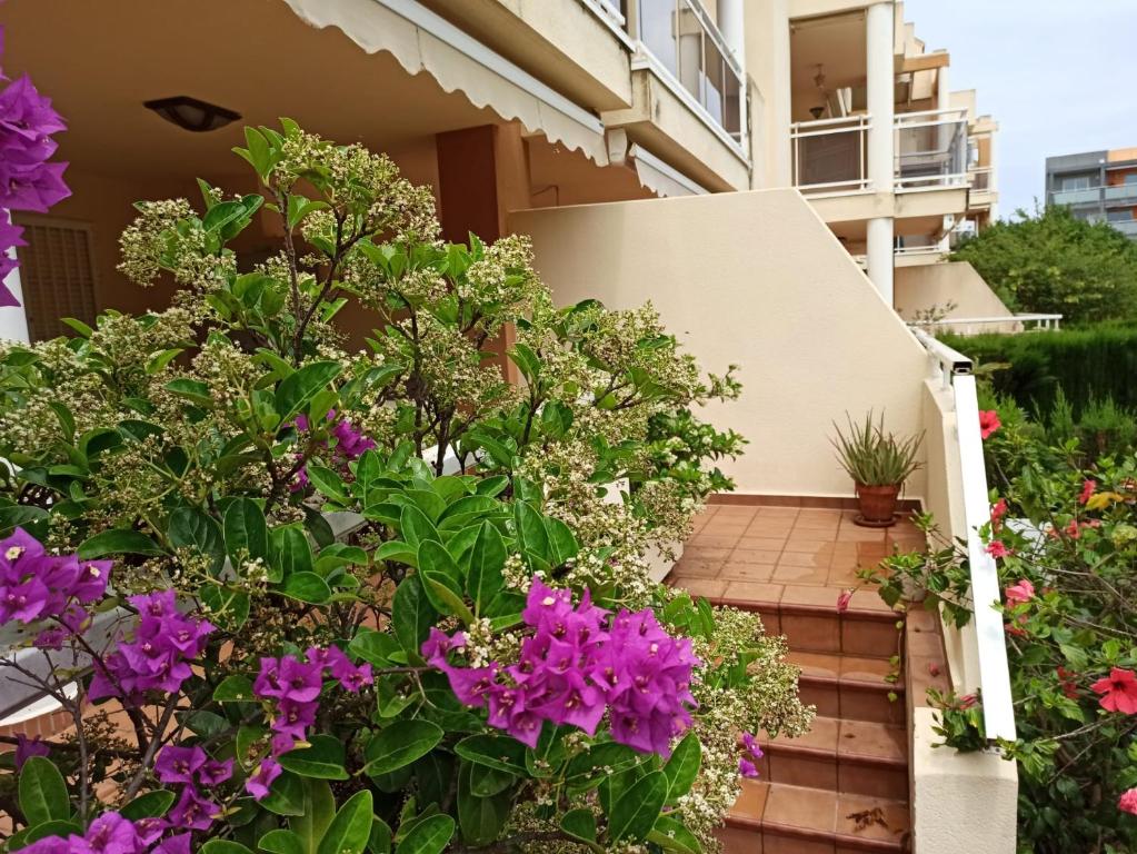 Agradable apartamento en Las Marinas Denia - 2