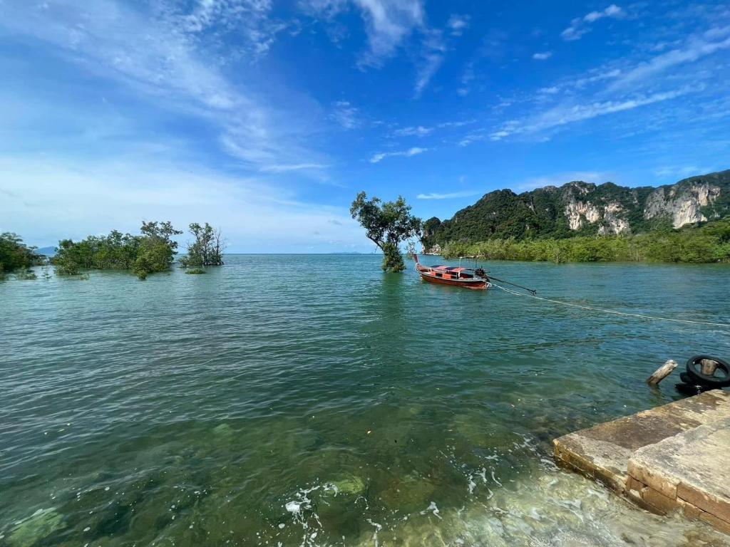 Surrounding environment