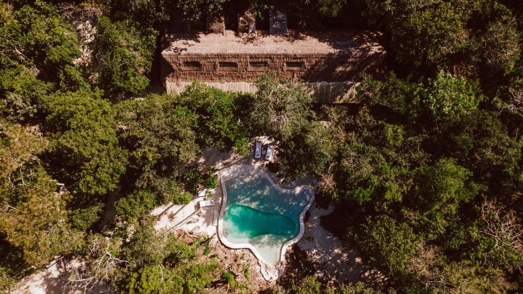 Casa Arkaana Eco Retreat - 2