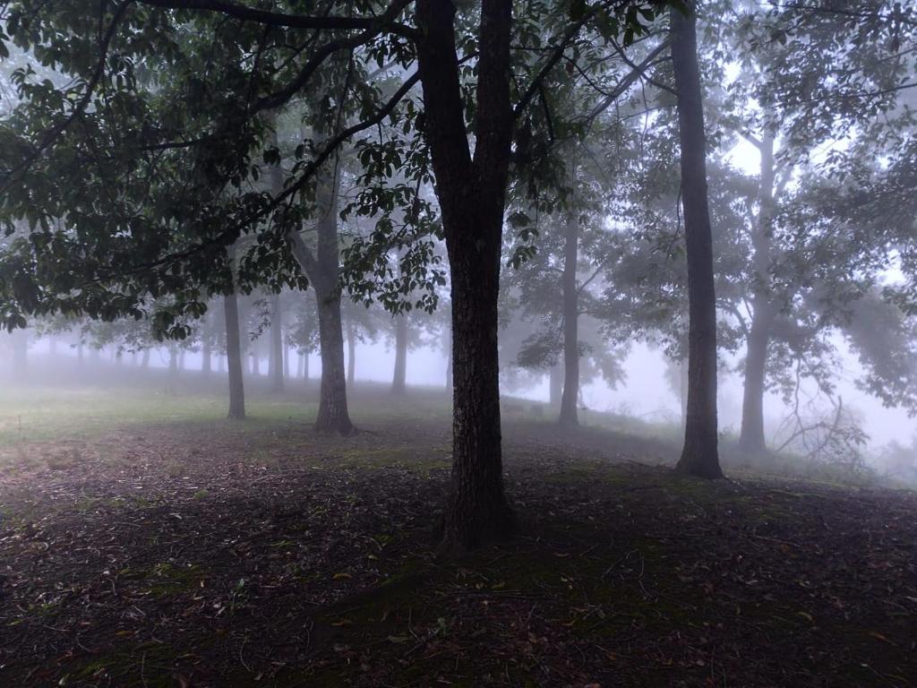 Rainbow's End, Talavera