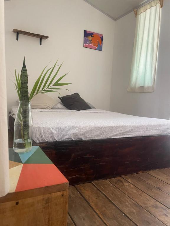 Maudie, Playa Santa Teresa