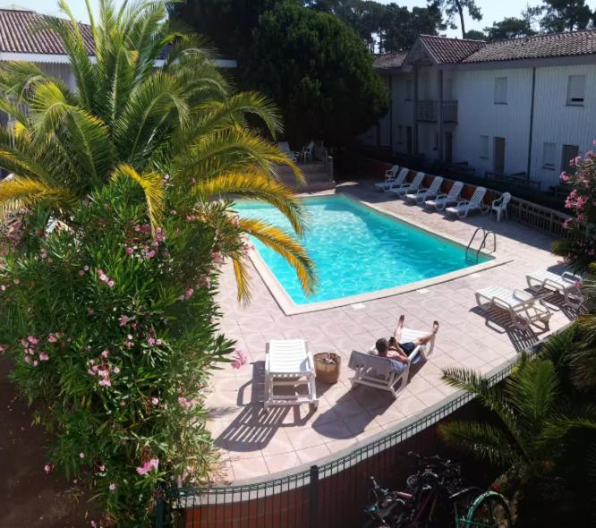Appartement piscine Cap Ferret 50m du Bassin et des commerces - 1