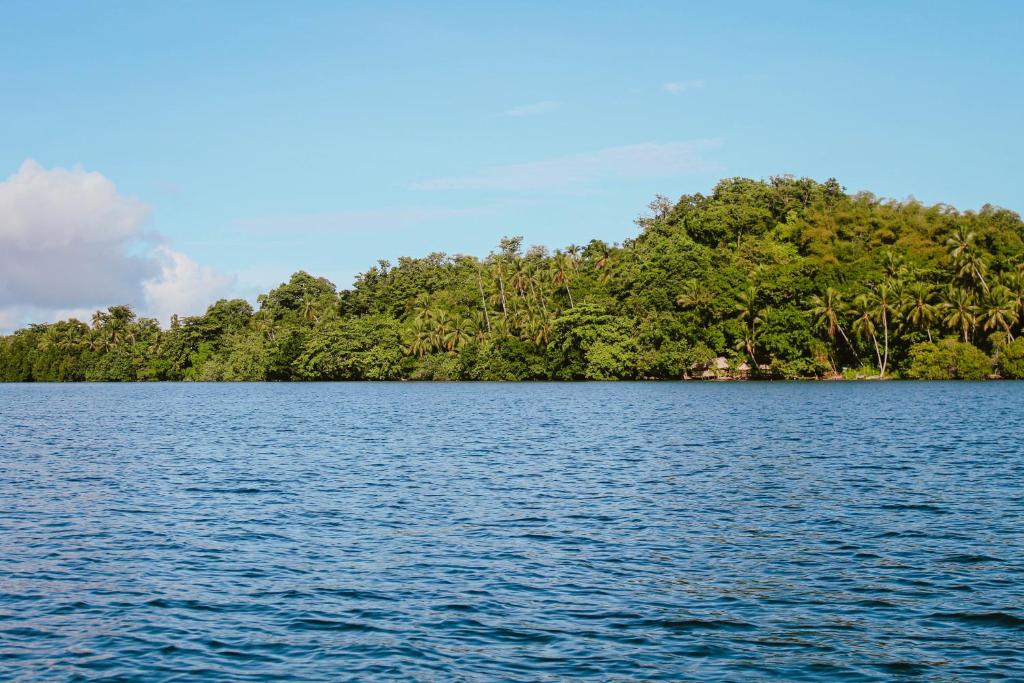 Activités à proximité