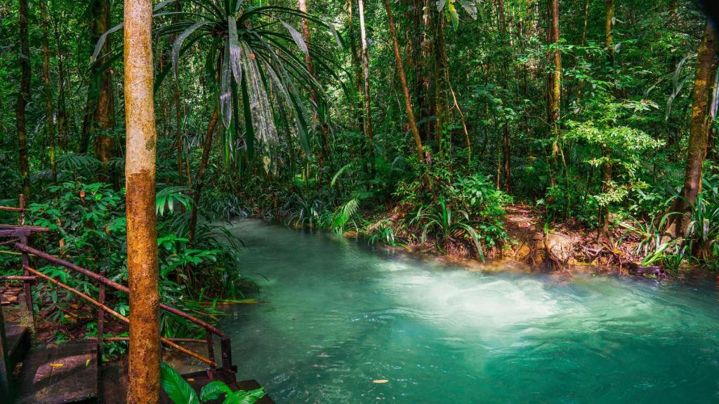 Activités à proximité