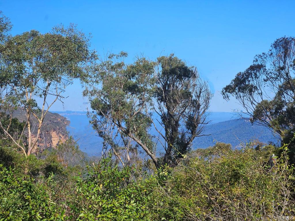 Merveille - Wonder, Wentworth Falls