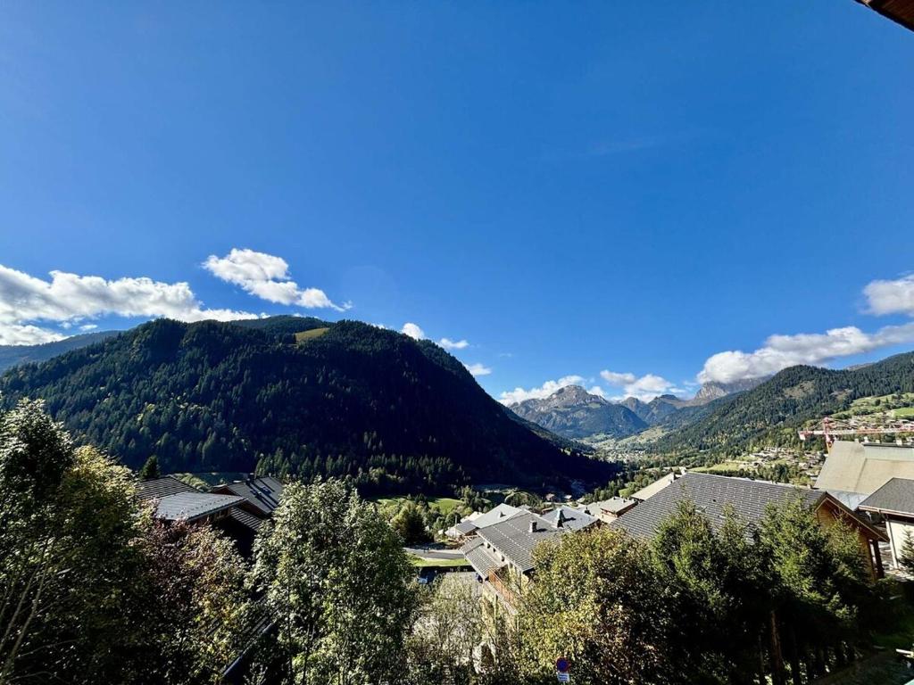 Bartavelles A2 - Appartement de charme dans Châtel - 2