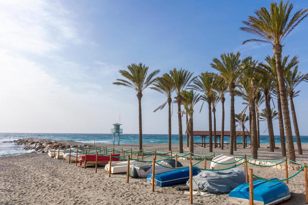 Todimer Neptuno, Torrenueva