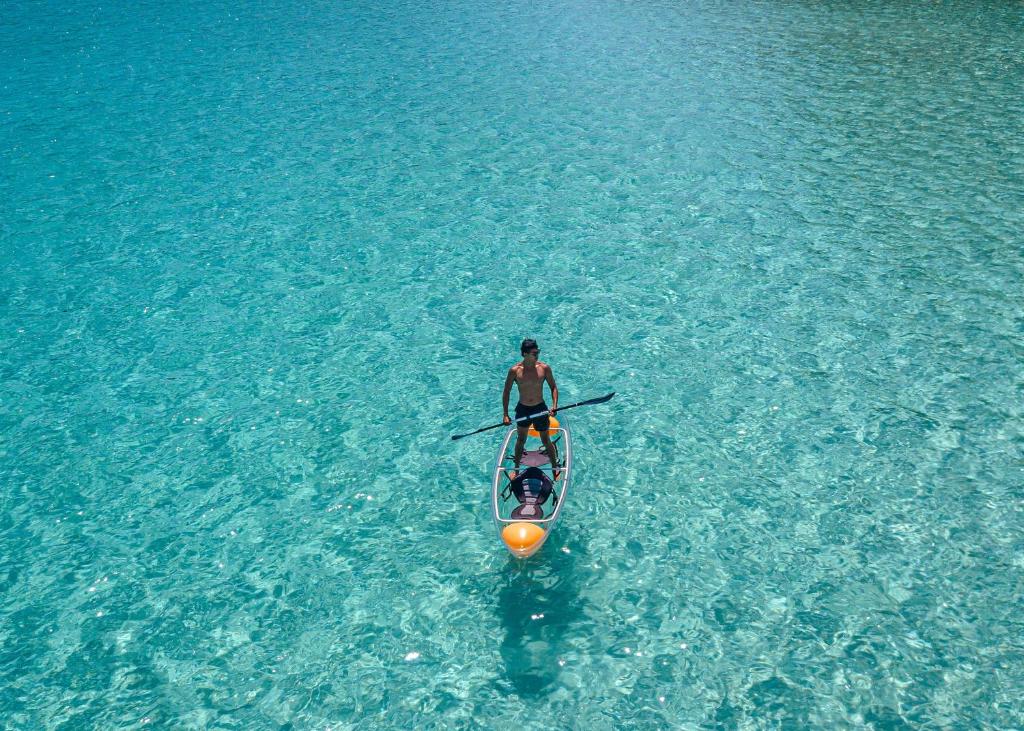 กิจกรรม