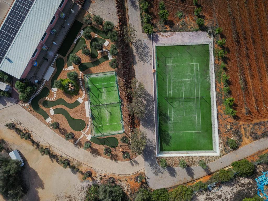Tennis court