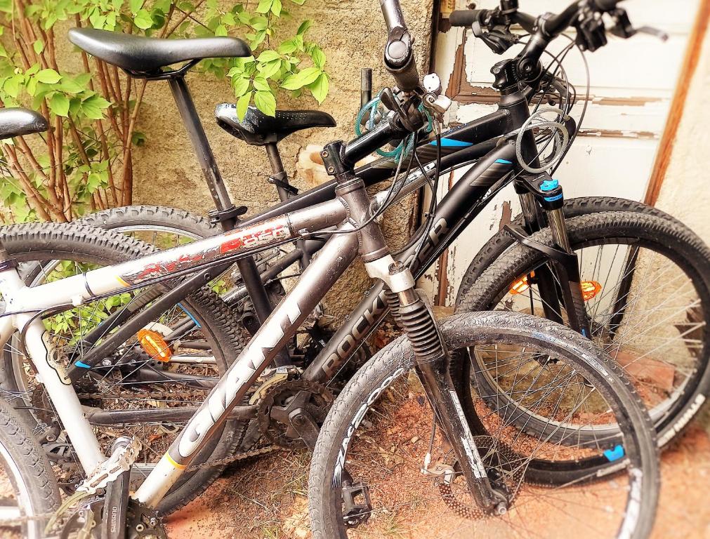 Appartement dans villa provençale, jardins et 3VTT disponibles - 2