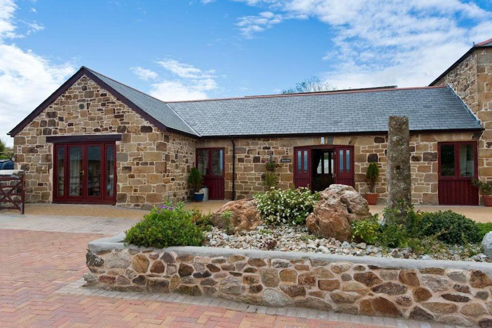 Barn Owl at Bejowan Barns, Newquay