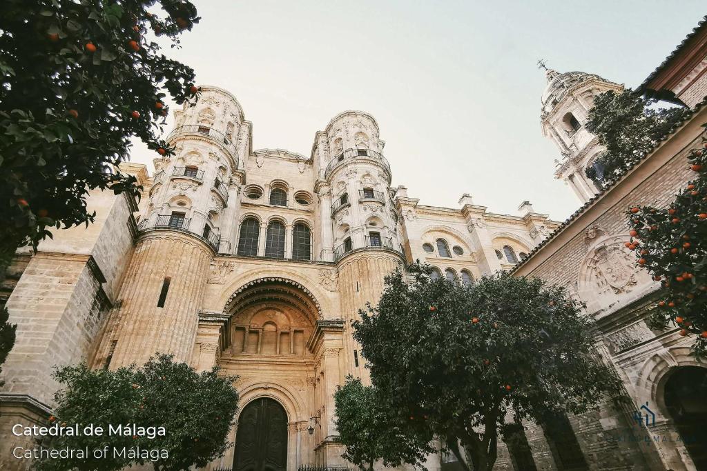 Living4Malaga Studio Bohème Málaga - 3