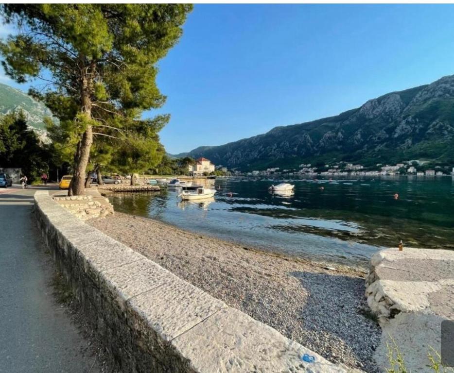 Seaview Max apartment, Dobrota