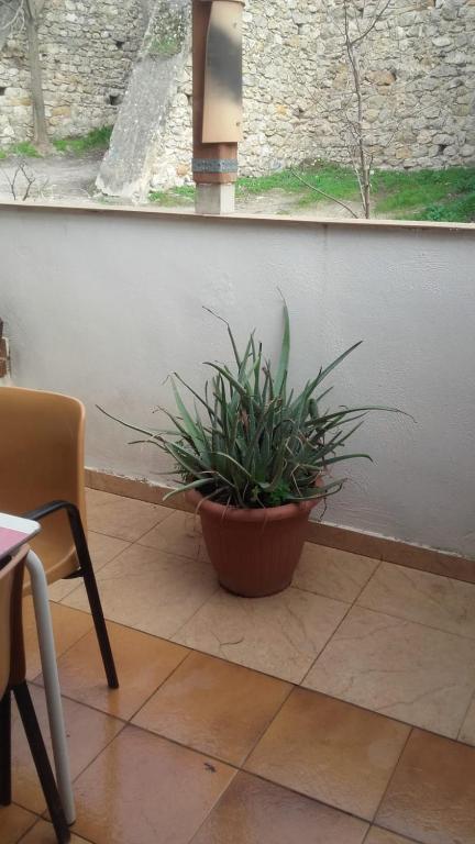 Casa Avenida Guadalquivir - 5