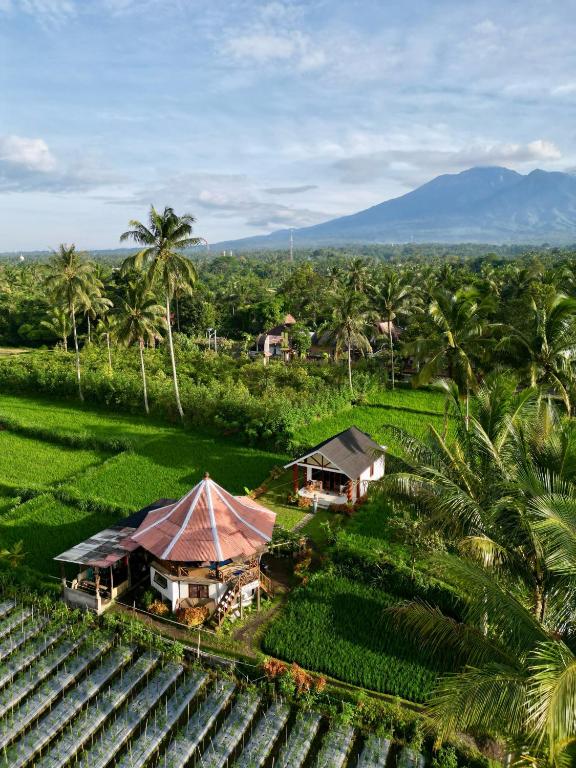 Rice Field inn - Lombok, Tetebatu