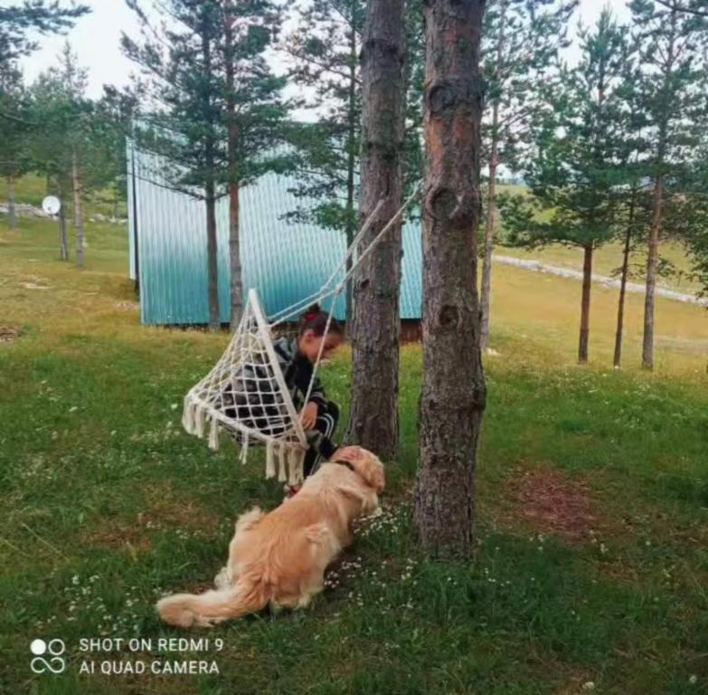 Vikendice SMOLOVIC - 5