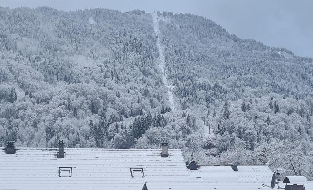 TigerLily, Samoens - 4