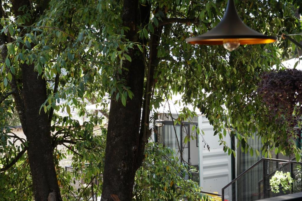 Container Woods - 3