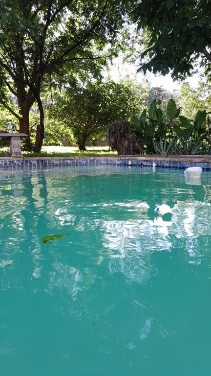 Peaceful Apartment - getaway to the countryside, Meyerton