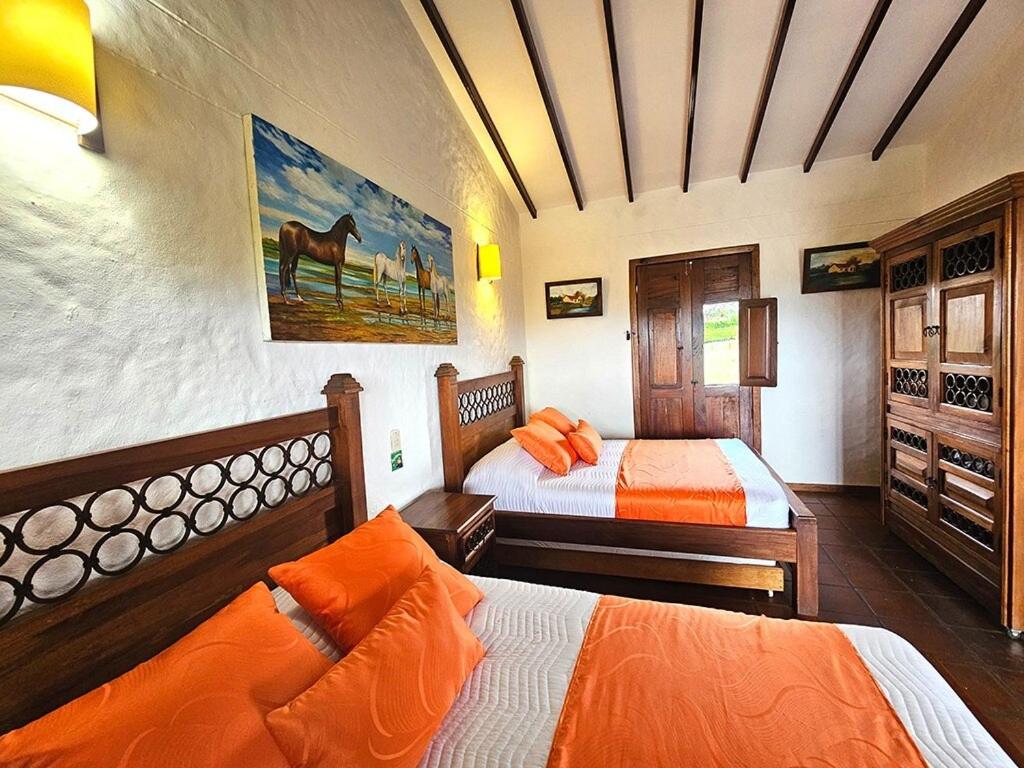 Charming villa, pool, jacuzzi, 10 min Coffee Park - 5