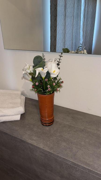Costanza House - 3