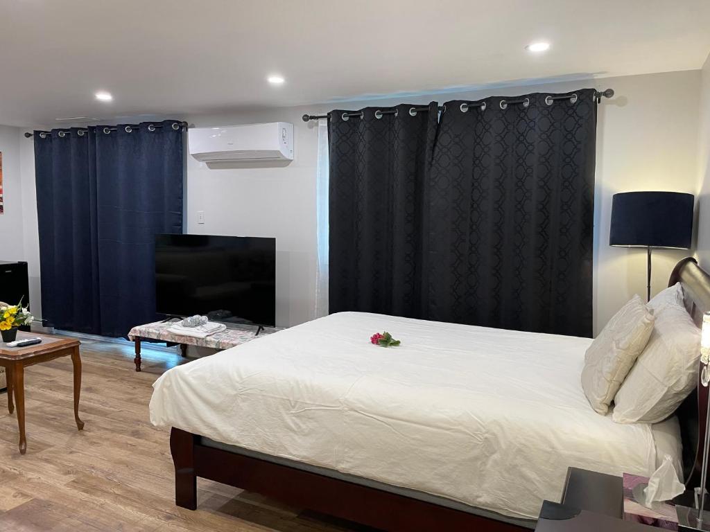 Quiet and Private Bachelor Unit, Halifax