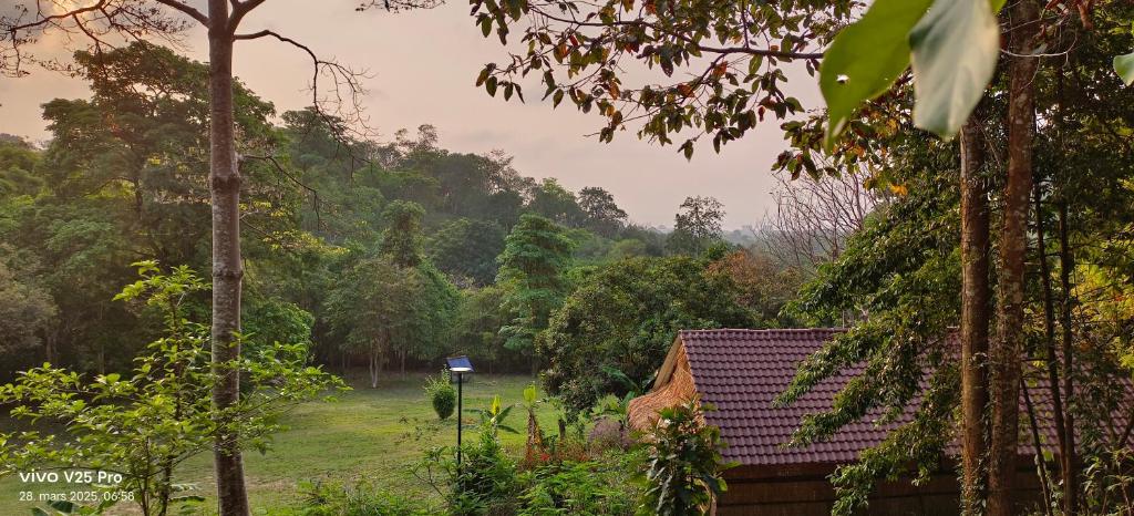 Tree Guest House kep, Kep