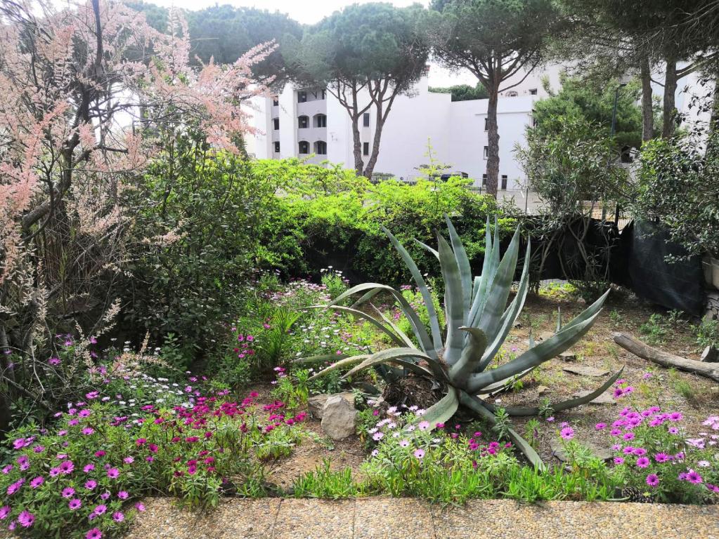 Gruissan: Maisonnette T2 avec jardin - 2
