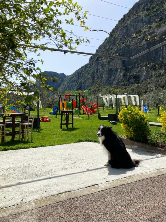 Alla Pergola - 1