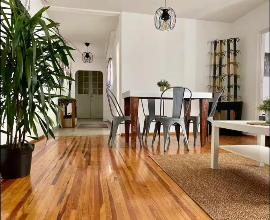 Hermoso departamento en Condesa - 1